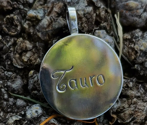 Colgante Zodiaco Tauro