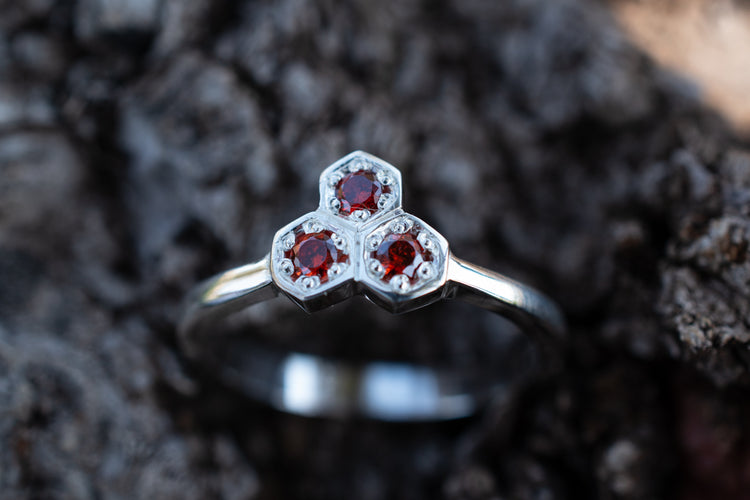 Anillo Panal A